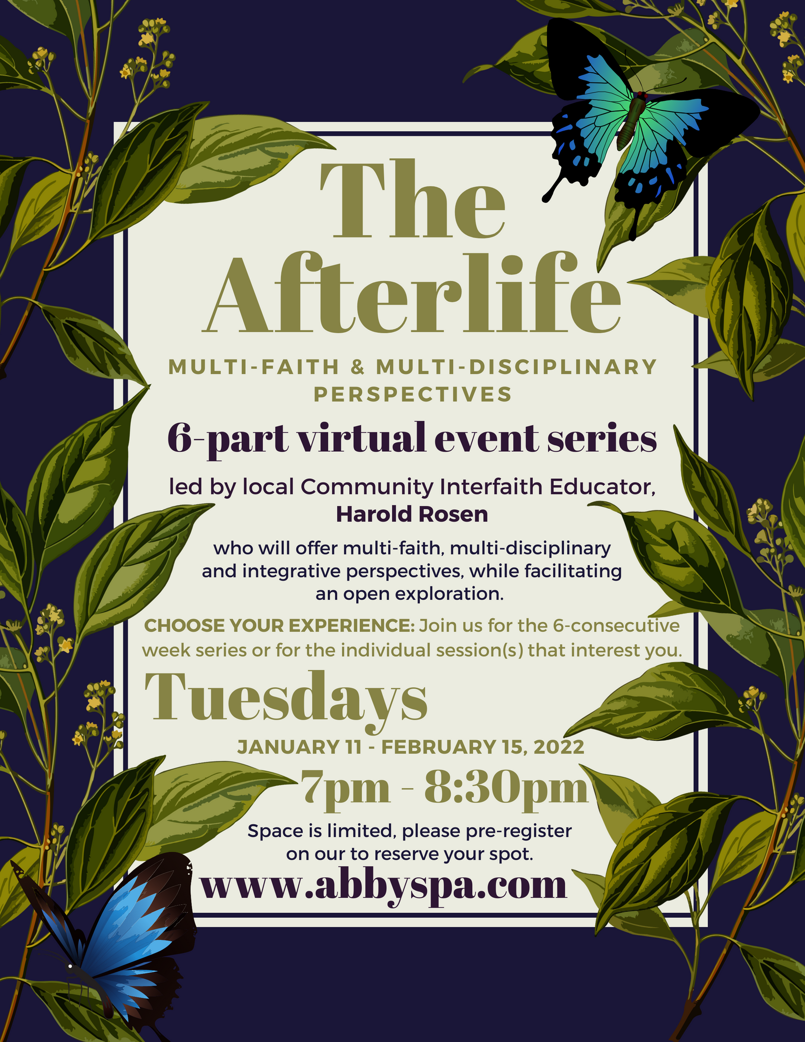 “The Afterlife: Multi-Faith & Multi-Disciplinary Perspectives” 6-Week Virtual Series (FULL SERIES TICKET)